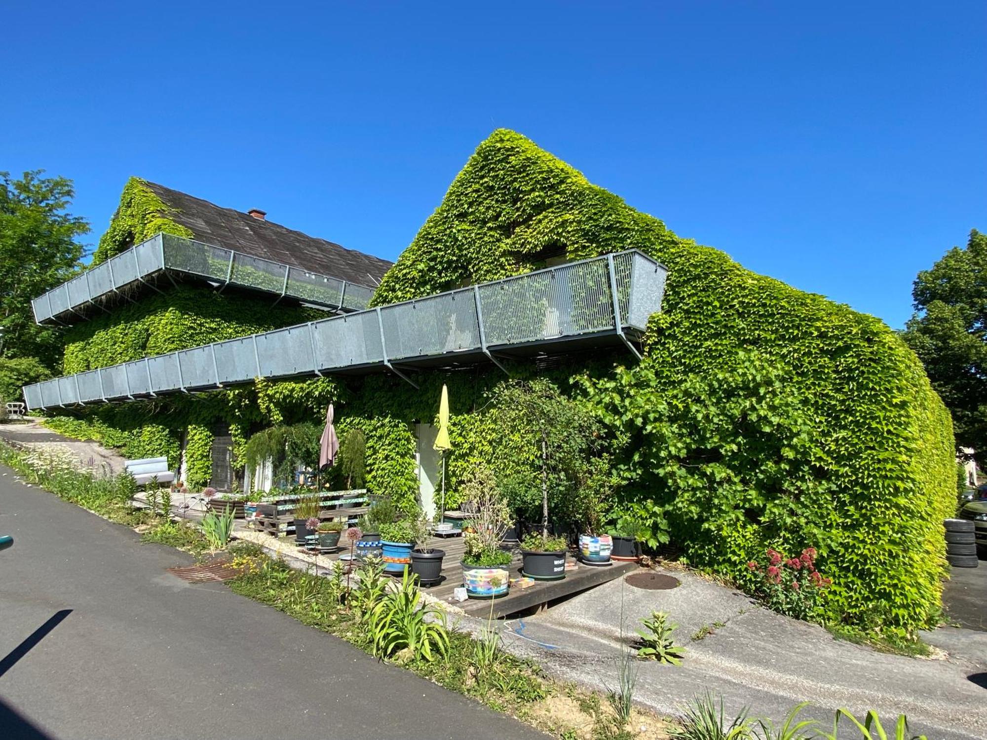 באד וולטרסדורף Wohnen Zwischen Golf Und Therme מראה חיצוני תמונה